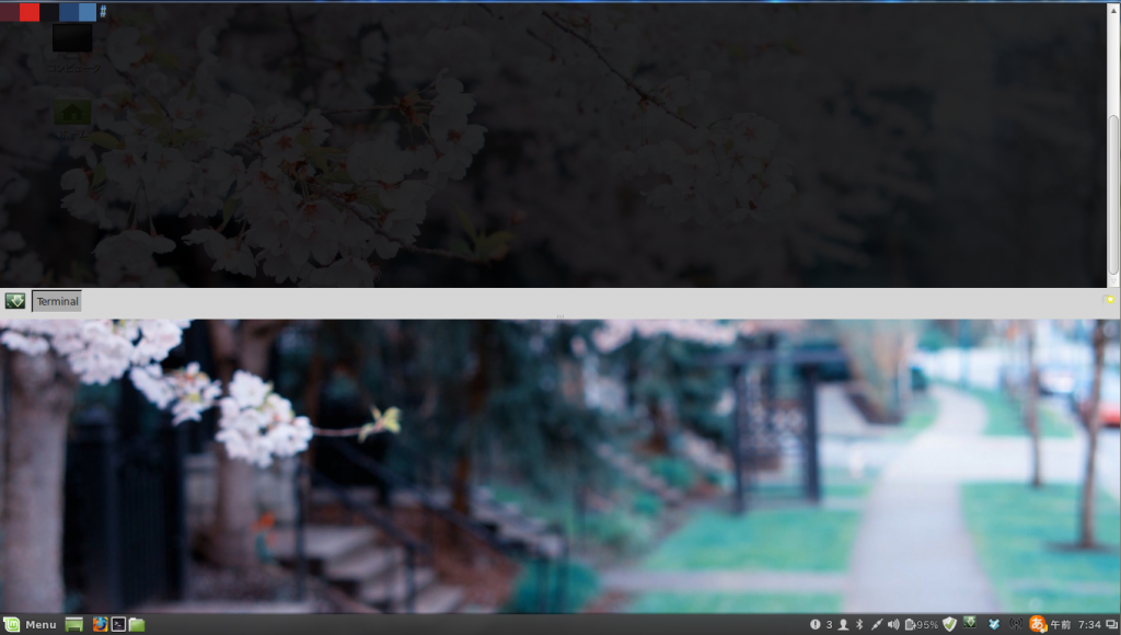 vnc-guake