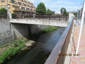 IMG_1617