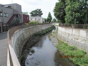 IMG_1619