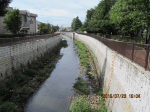 IMG_1621