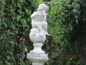 IMG_1624