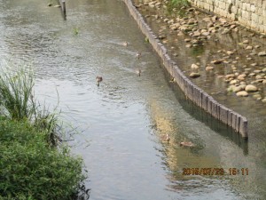 IMG_1627