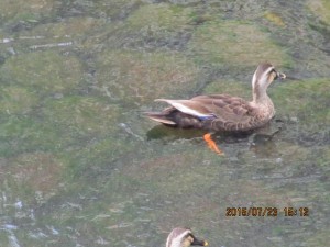 IMG_1629