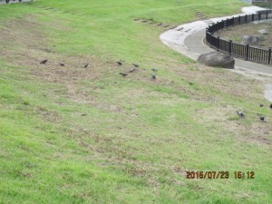 IMG_1632