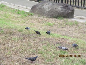 IMG_1635