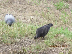 IMG_1636