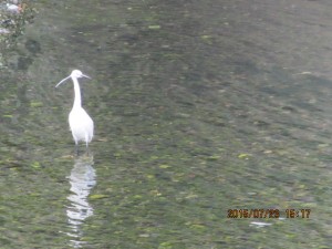 IMG_1647