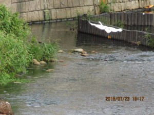 IMG_1649