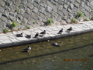 IMG_1711