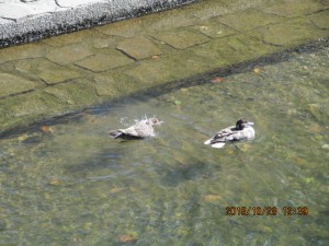 IMG_1713