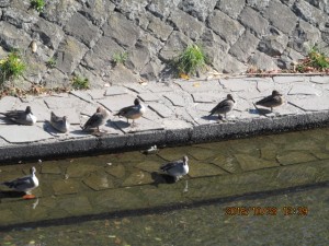 IMG_1714