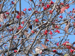 IMG_1716