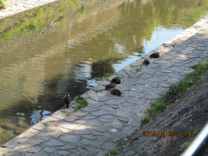 IMG_1720