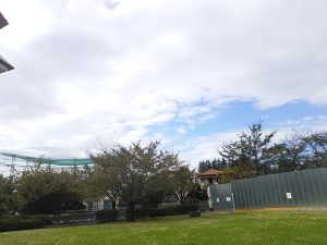 DSC_0184